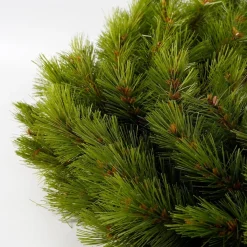 Triumph Tree Kerstkransen><noscript><img width=