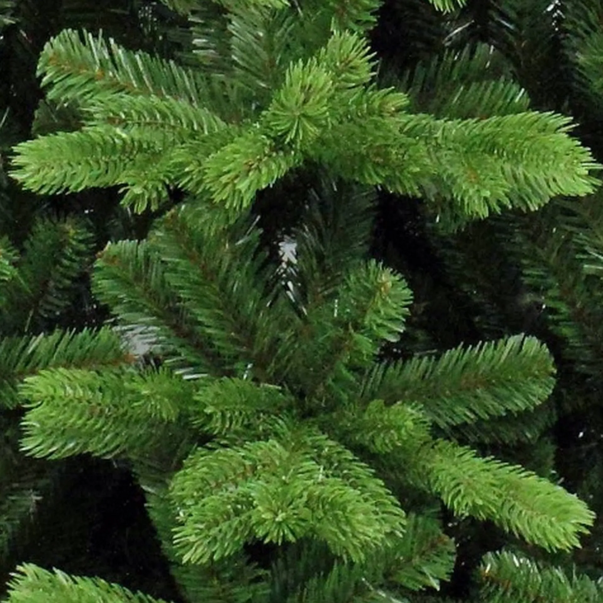 Triumph Tree Sherwood Kunstkerstboom Deluxe - H230 X O142 Cm - Groen Sale