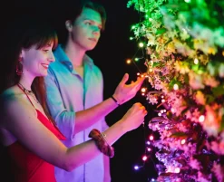 Twinkly Strings- Lichtsnoer - 20 Meter - Led Verlichting - 250Led Rgb - Dimbaar - Binnen & Buiten - Verbind Met Bluetooth Of Wifi - Werkt Met Homekit, Homey, Alexa, Google Home En Razer Chroma Online