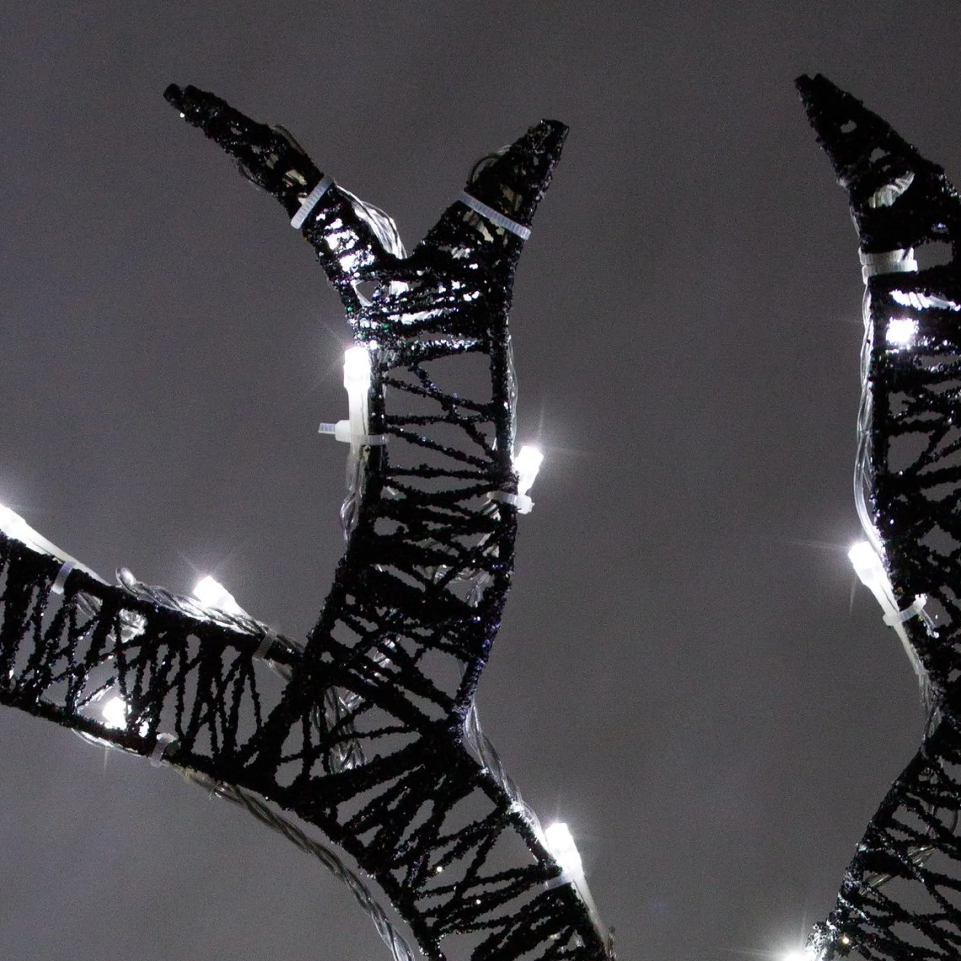 MonsterShop Verlicht Kerstfiguur: Rendier - Goud - 200 Lichtjes - Stroomkabel Van 12 Meter - Kerstverlichting - Kerstfiguur Ree Dier Dieren - Buitenverlichting Kerst Best Sale