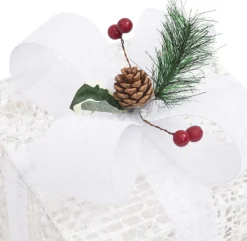 vidaXL Kerstdecoratie Geschenkdozen 3 St Binnen/Buiten Wit Sale