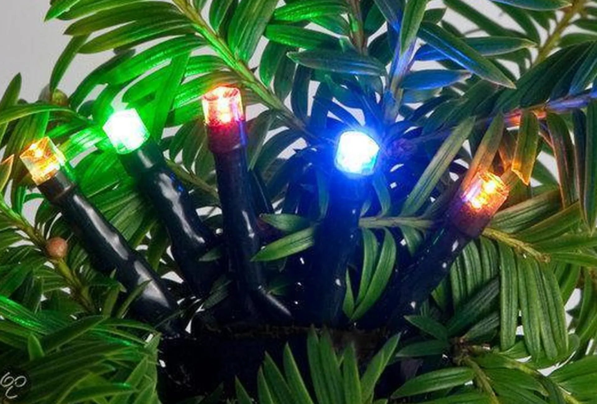 Anna's Collection 1X Kerstverlichting 40 Gekleurde Leds Met Dimmer En Timer - Voor Buiten En Binnen - Boomverlichting Outlet