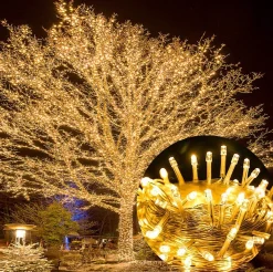 Xd Xtreme Xd-Xtreme- Raam Decoratie -50 Meter Lichtslinger- Kerst Decoratie - Kerstverlichting - Bruiloft Decoratie - Feest Decoratie - Warm Wit New