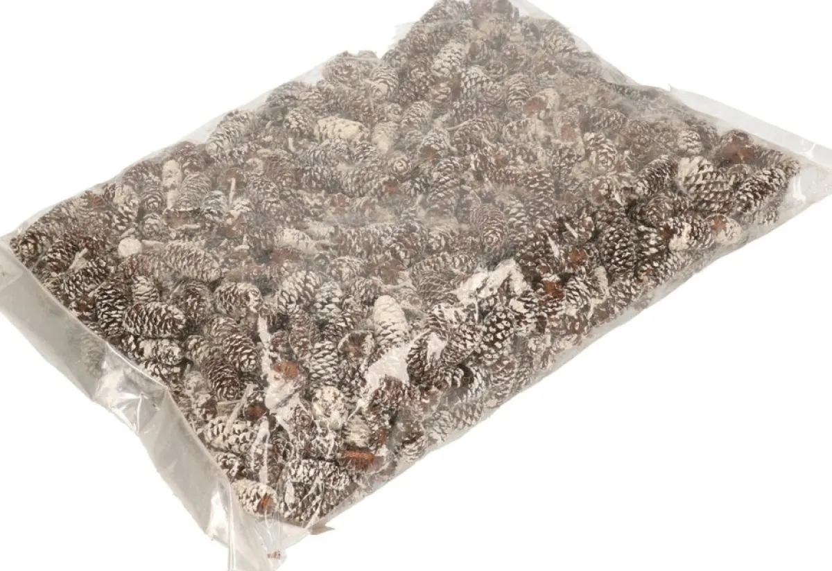 Othmara decorations Kerststukjes>Zak Met 500 Gram Decoratie Dennenappels Bruin Met Sneeuw - Kerststukje/Herfststukje Versiering - Dennenappeltjes