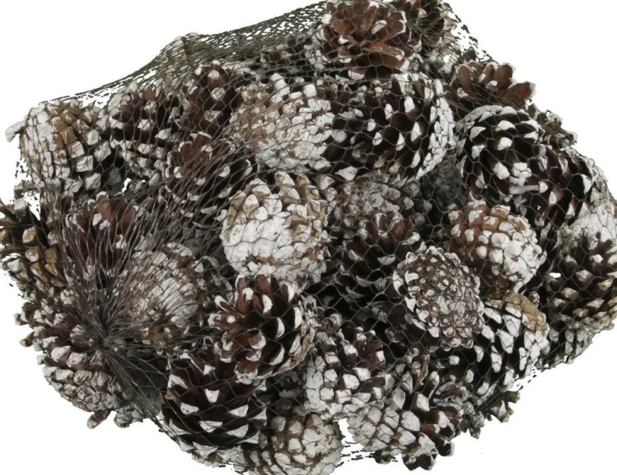 Othmara decorations Kerststukjes>Zak Met 500 Gram Decoratie Dennenappels Bruin Met Sneeuw - Kerststukje/Herfststukje Versiering - Dennenappeltjes